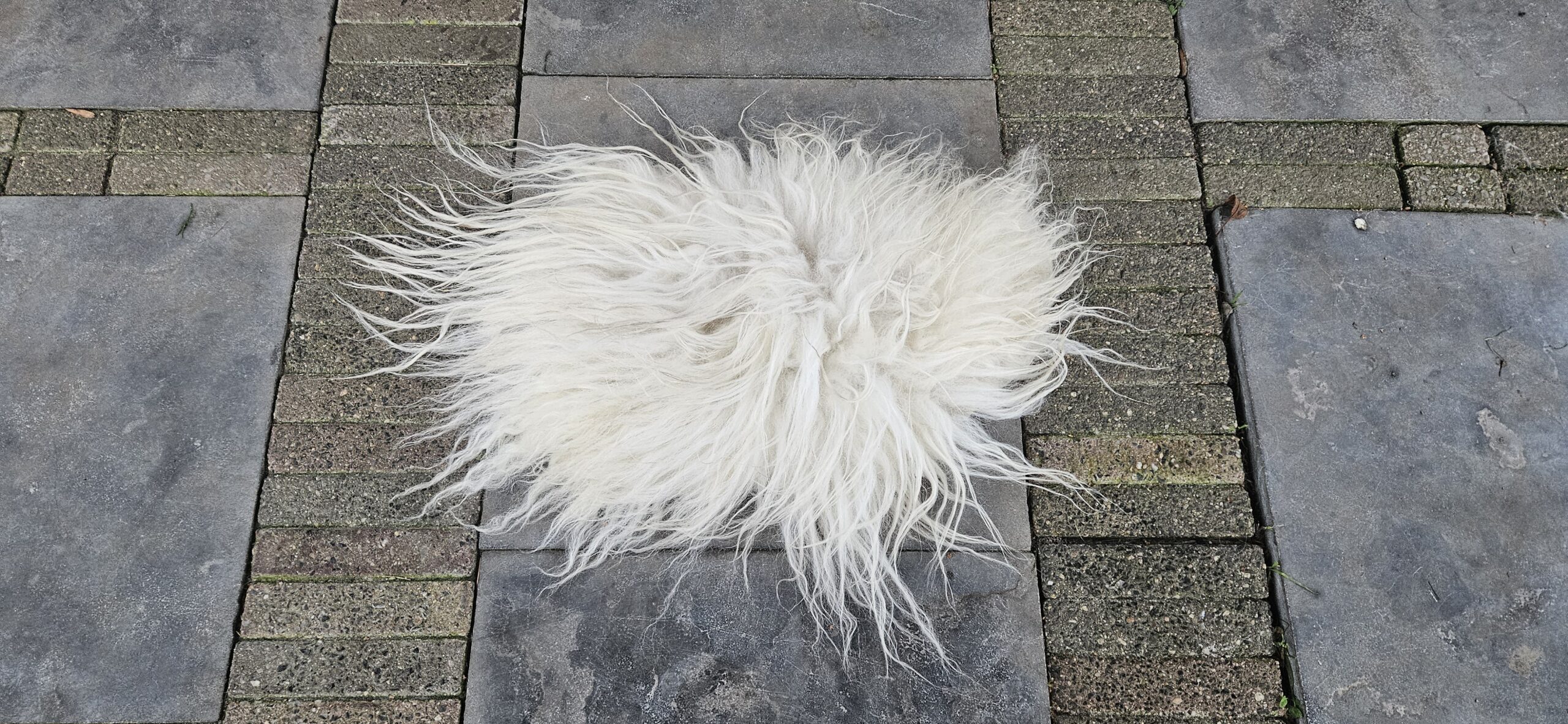 Vacht wit 'Misty' - Afbeelding 2