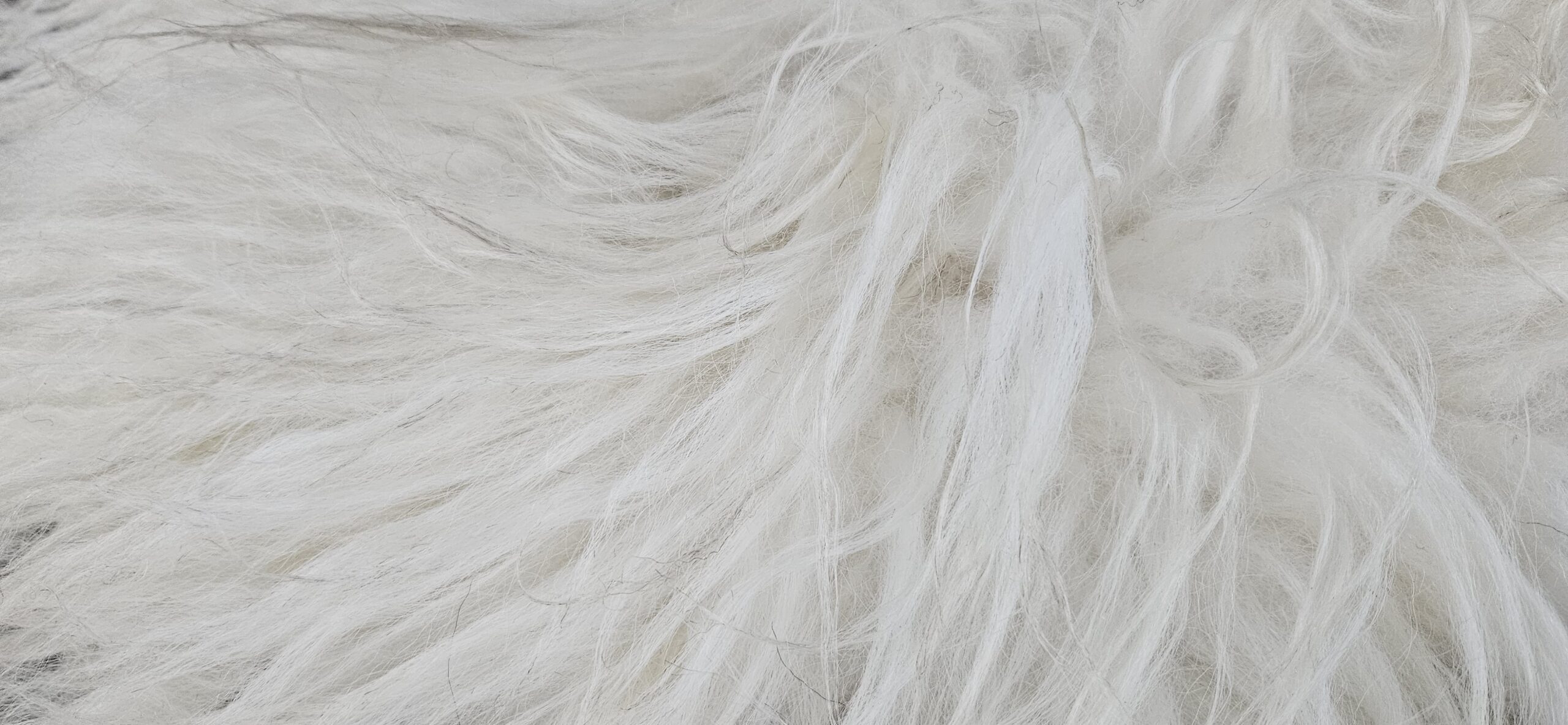 Vacht wit 'Misty' - Afbeelding 3