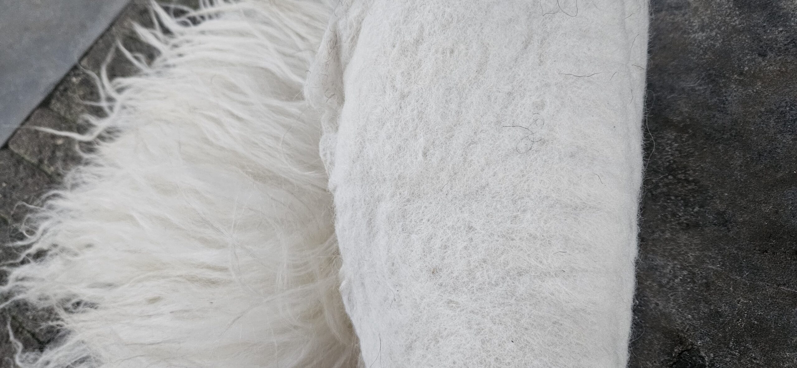 Vacht wit 'Misty' - Afbeelding 4