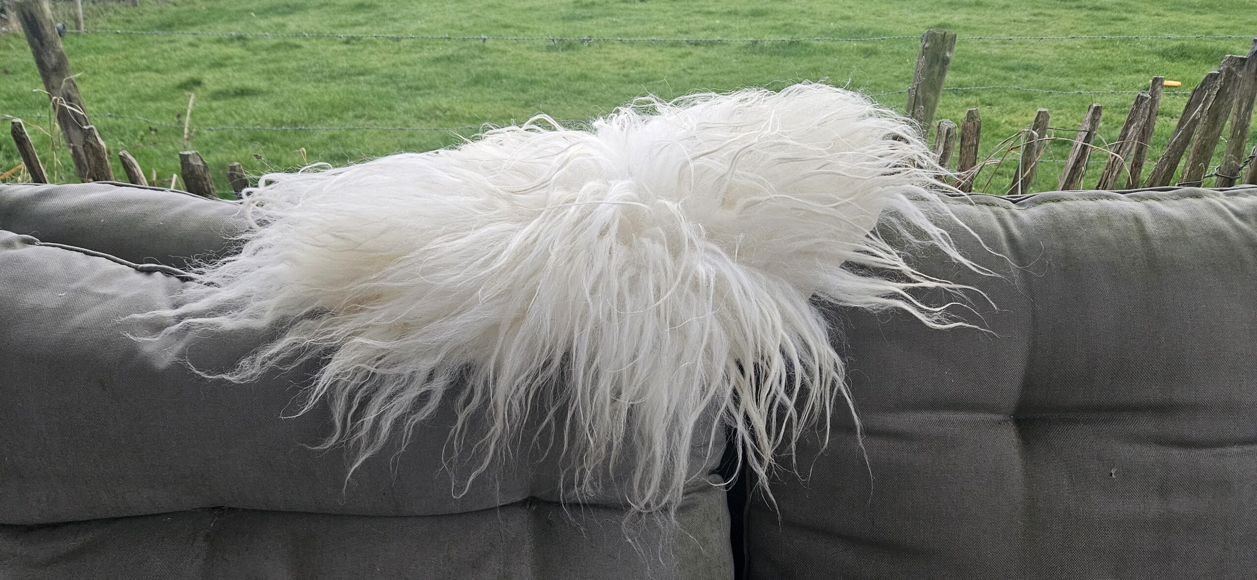 Vacht wit 'Misty' - Afbeelding 5