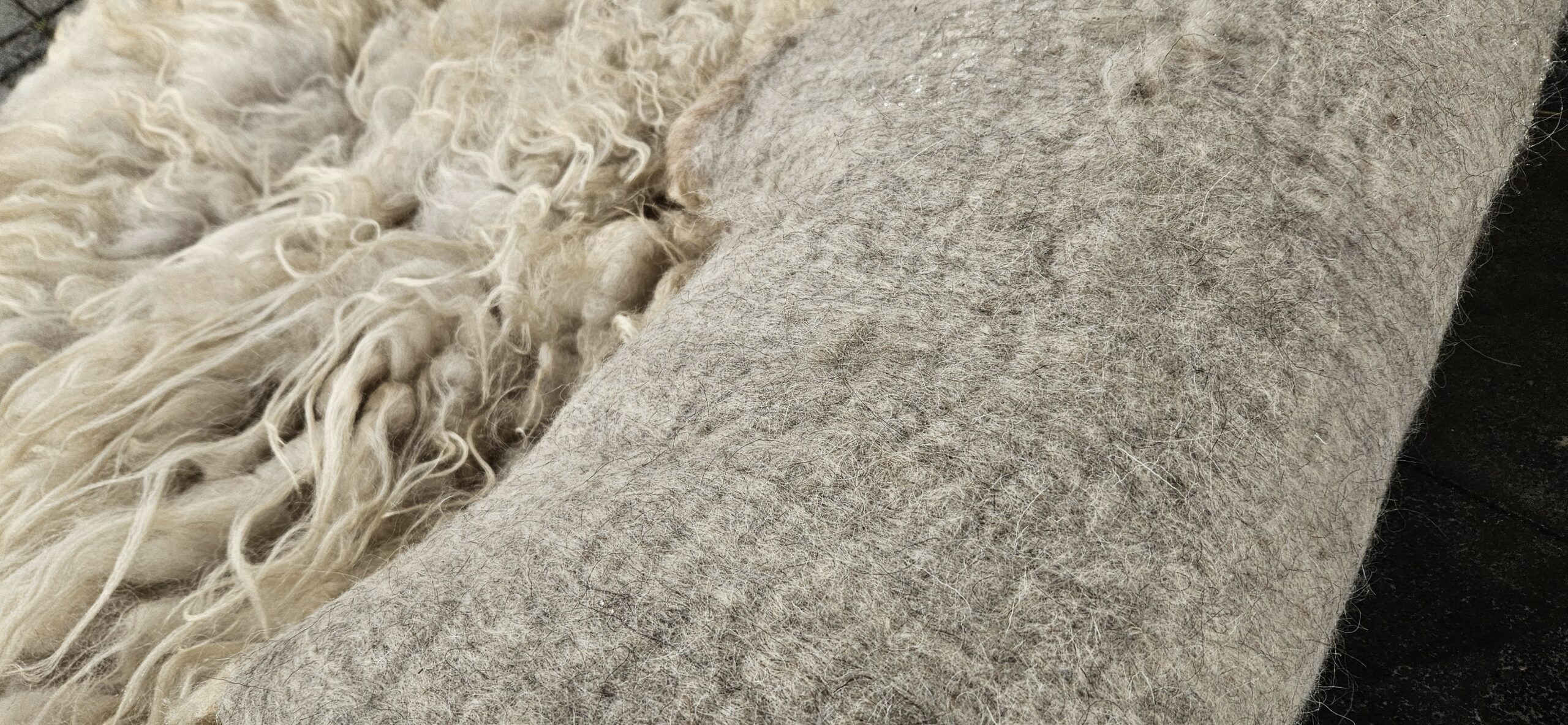 Vacht wit 'Lina' - Afbeelding 4