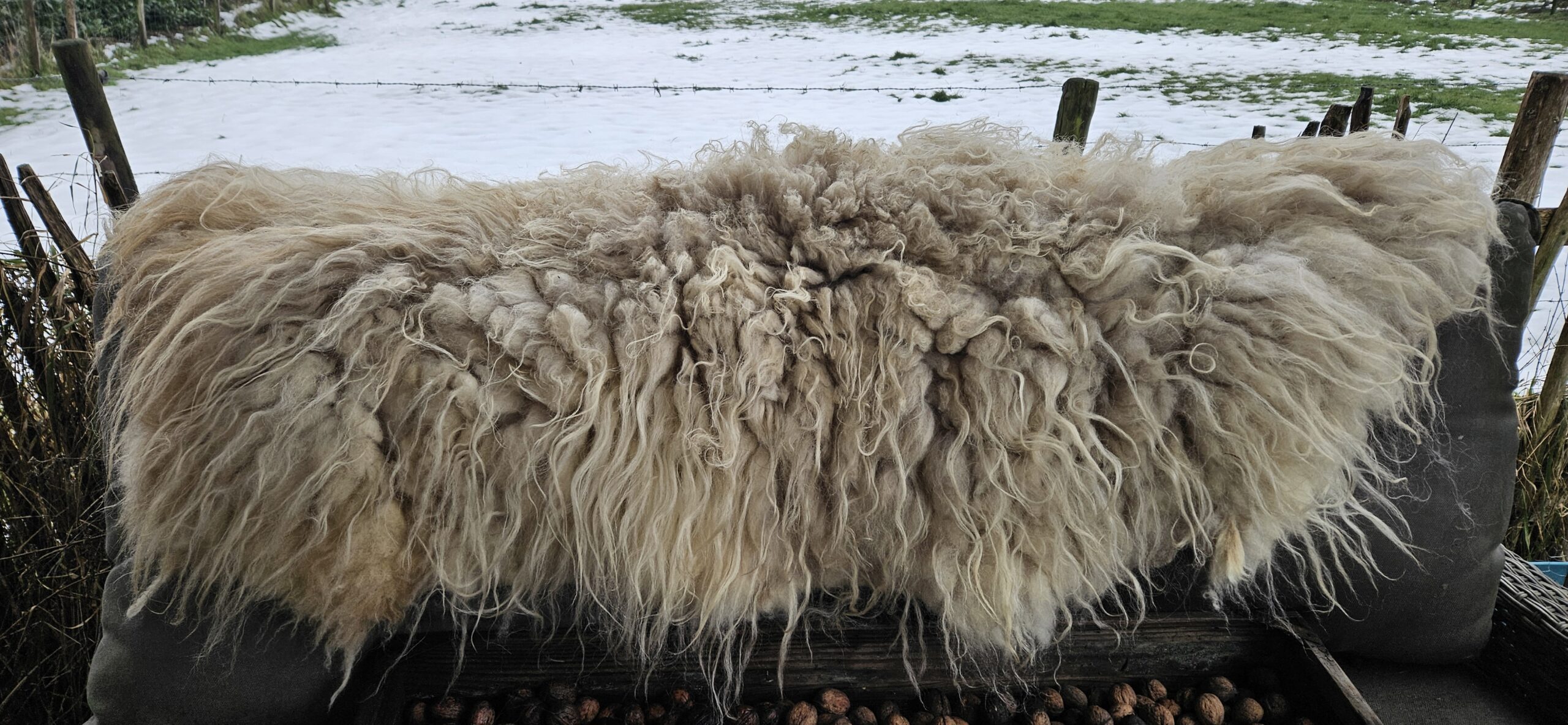 Vacht wit 'Lina' - Afbeelding 5