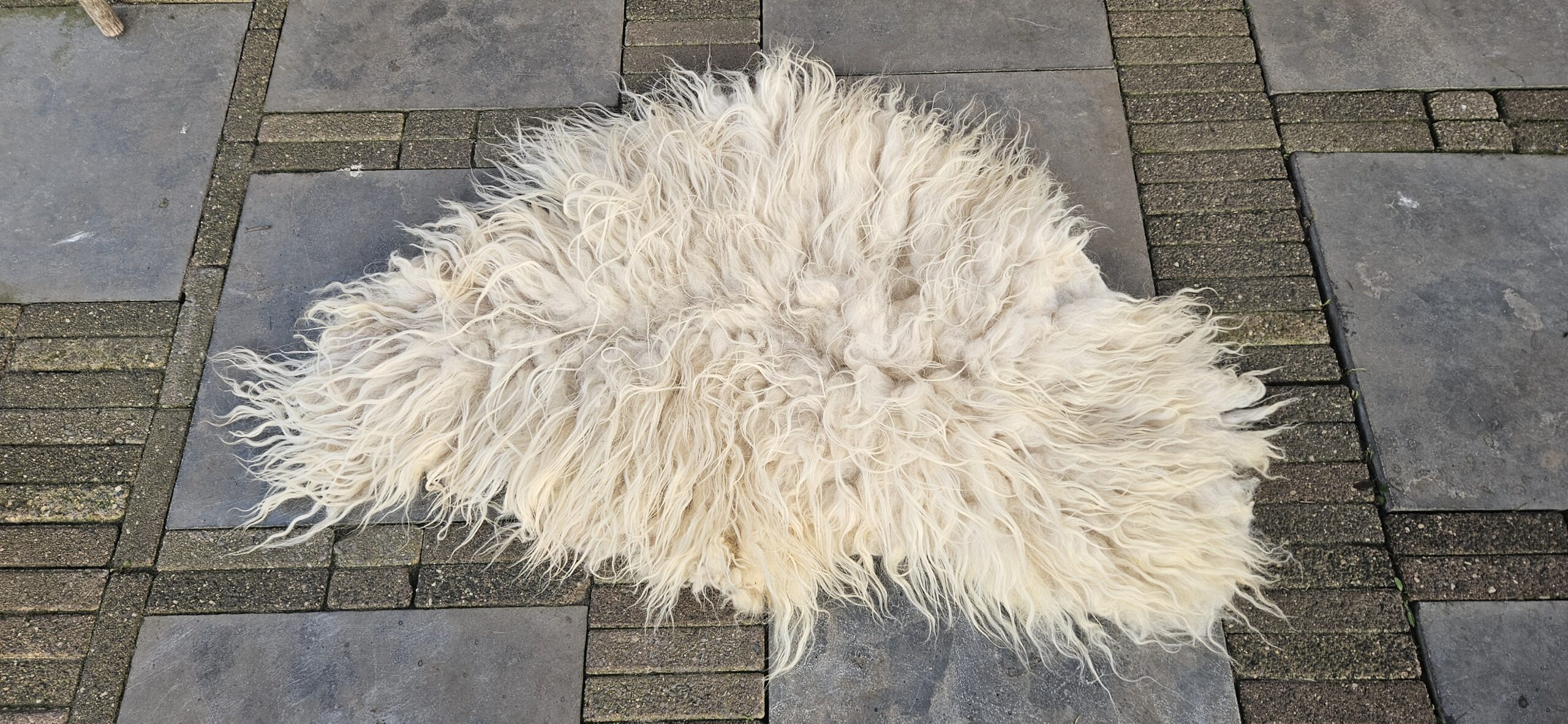 Vacht wit 'Elize' - Afbeelding 2