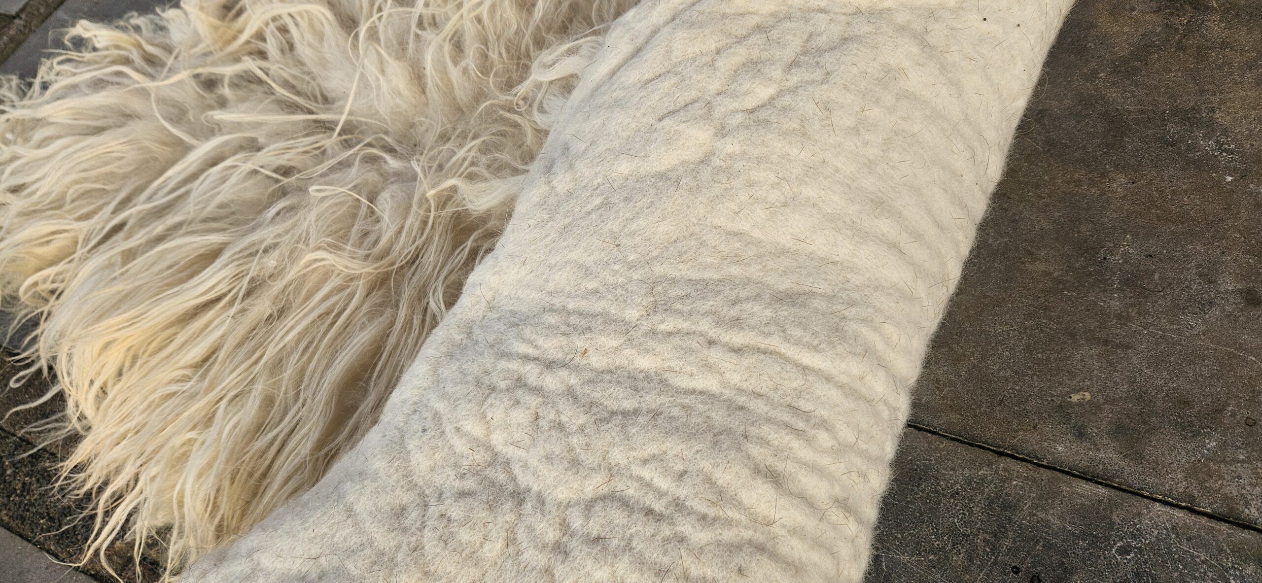 Vacht wit 'Elize' - Afbeelding 4