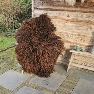 XL vacht donkerbruin 'Franky'