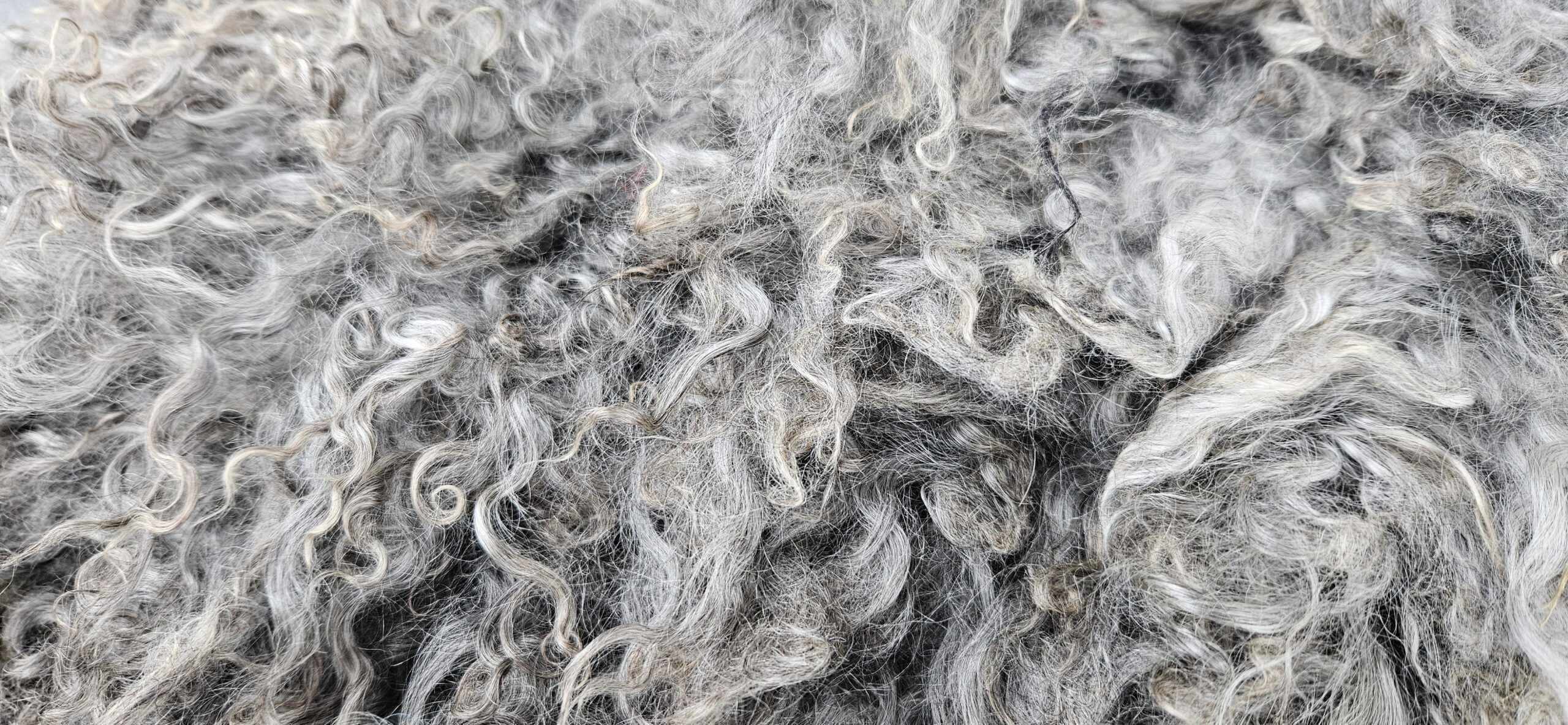 Vacht grijs 'Geertje' - Afbeelding 3