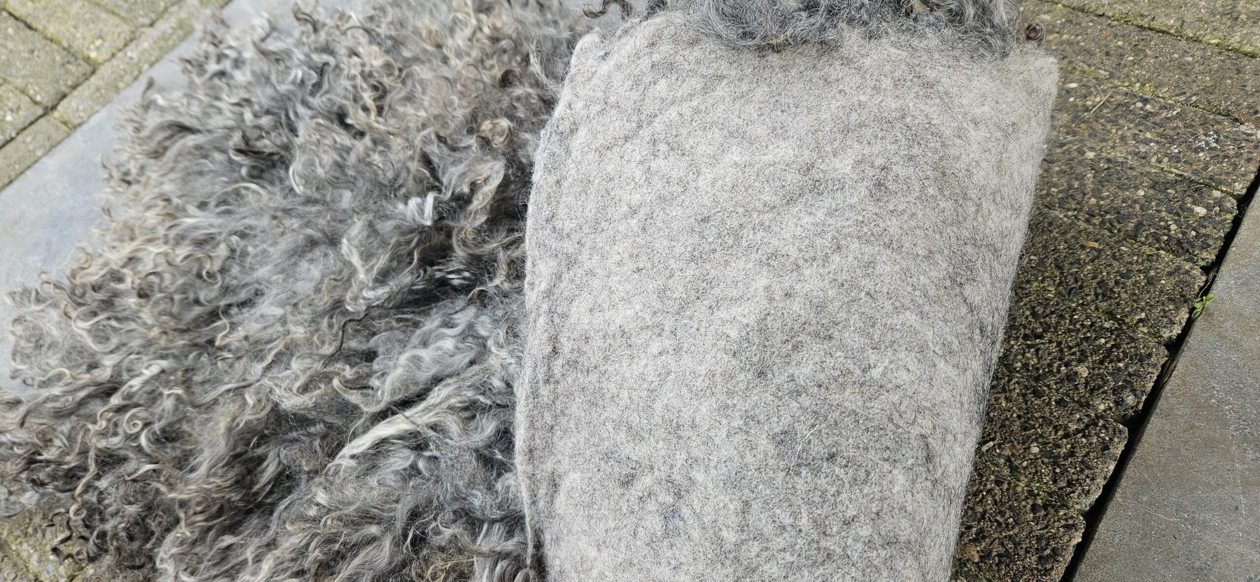 Vacht grijs 'Geertje' - Afbeelding 4