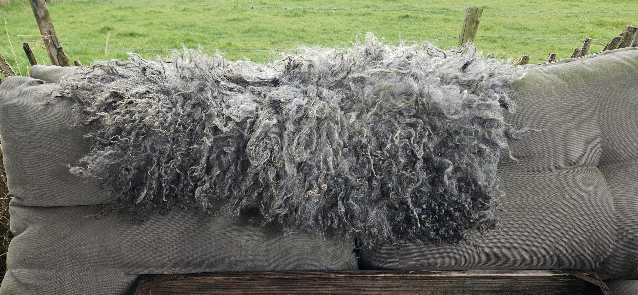 Vacht grijs 'Geertje' - Afbeelding 5