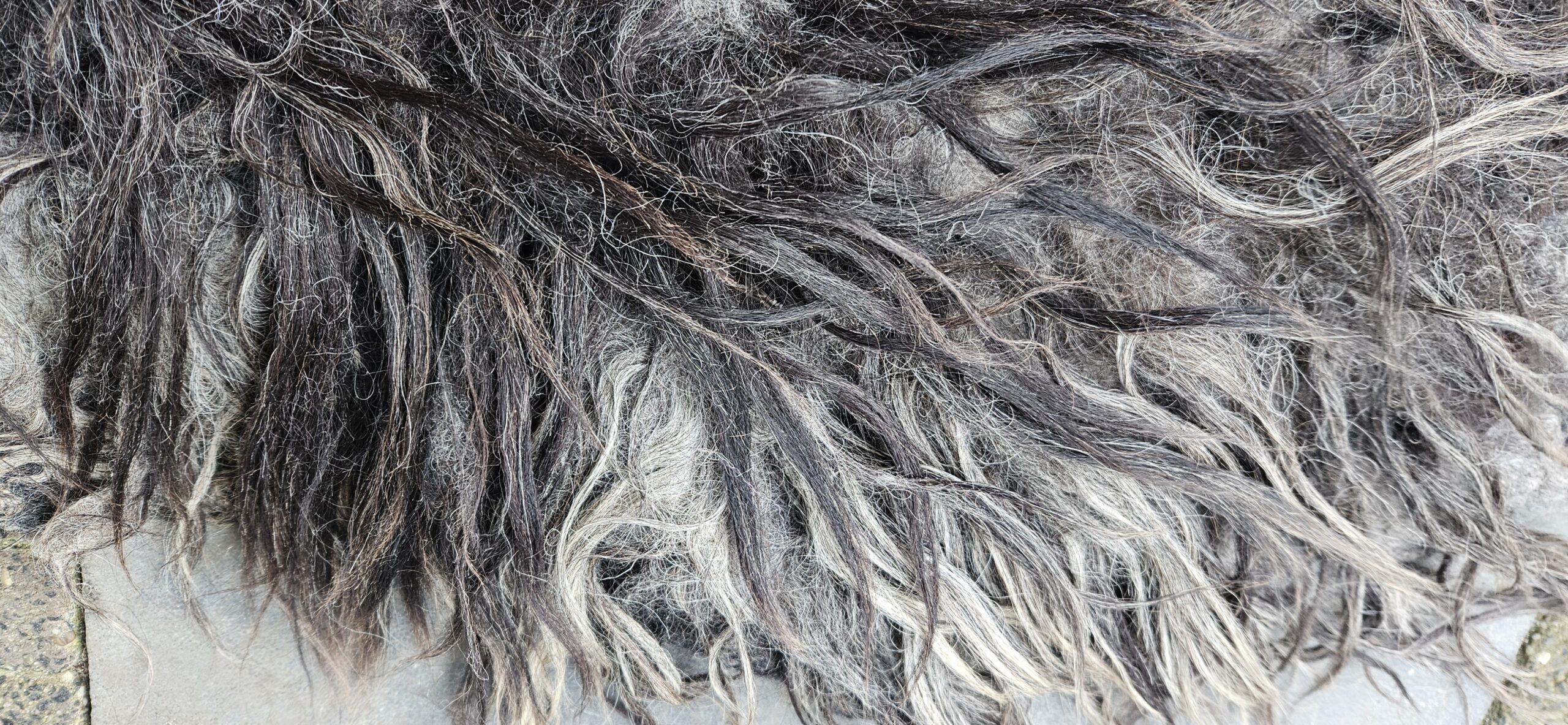 Vacht bruin/grijs/blond 'Pam' - Afbeelding 3