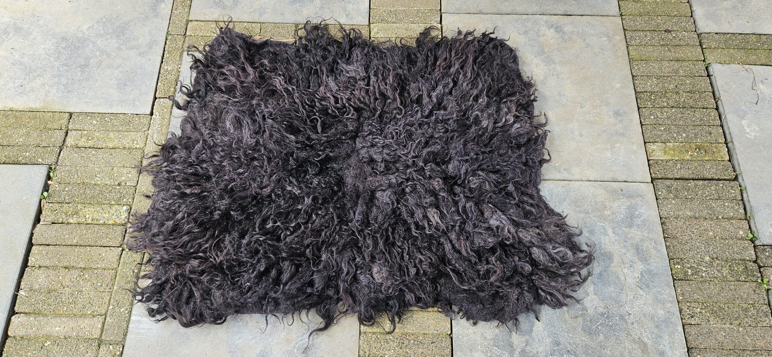 Vacht zwart 'Lola' - Afbeelding 2