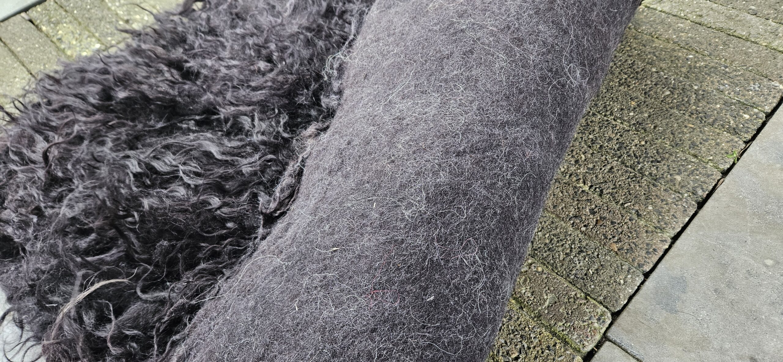 Vacht zwart 'Lola' - Afbeelding 4