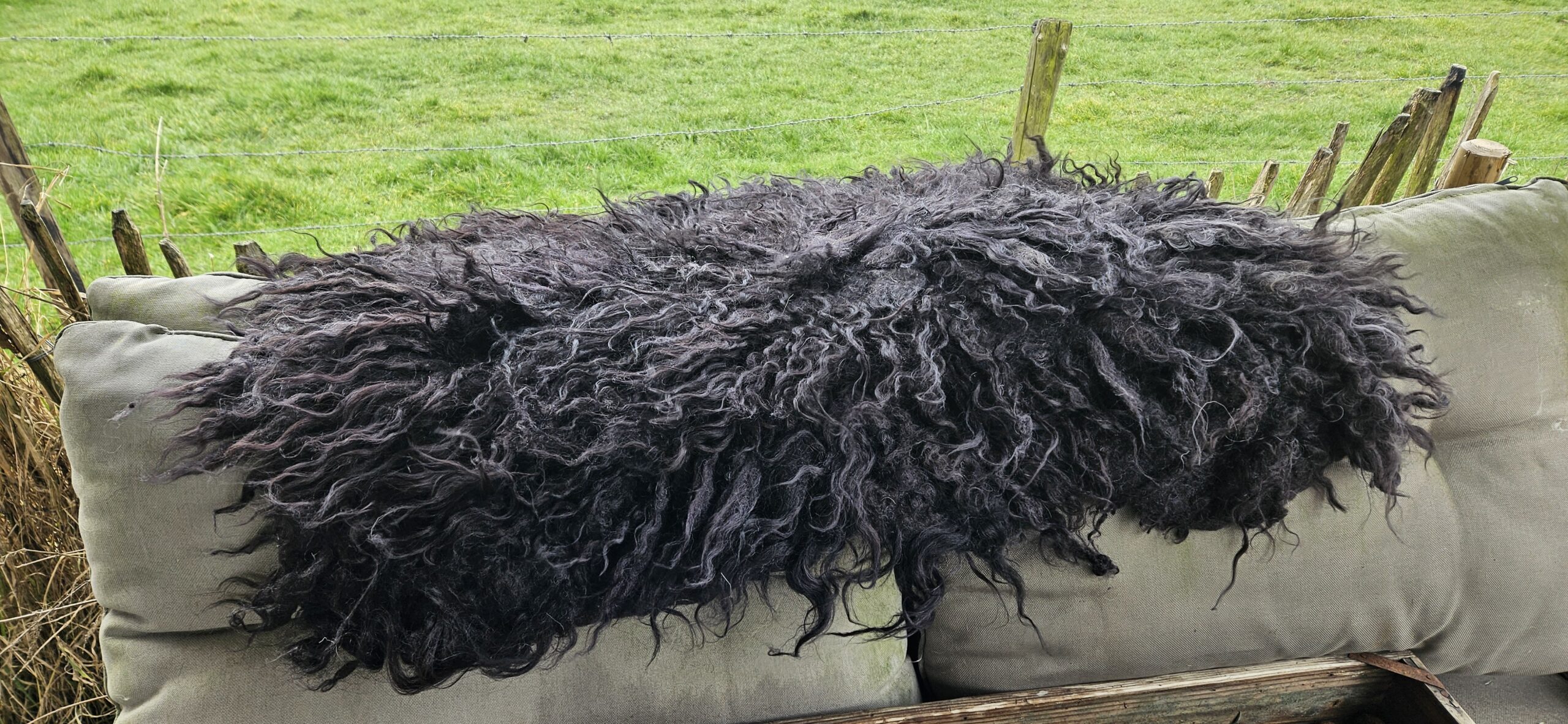 Vacht zwart 'Lola' - Afbeelding 5