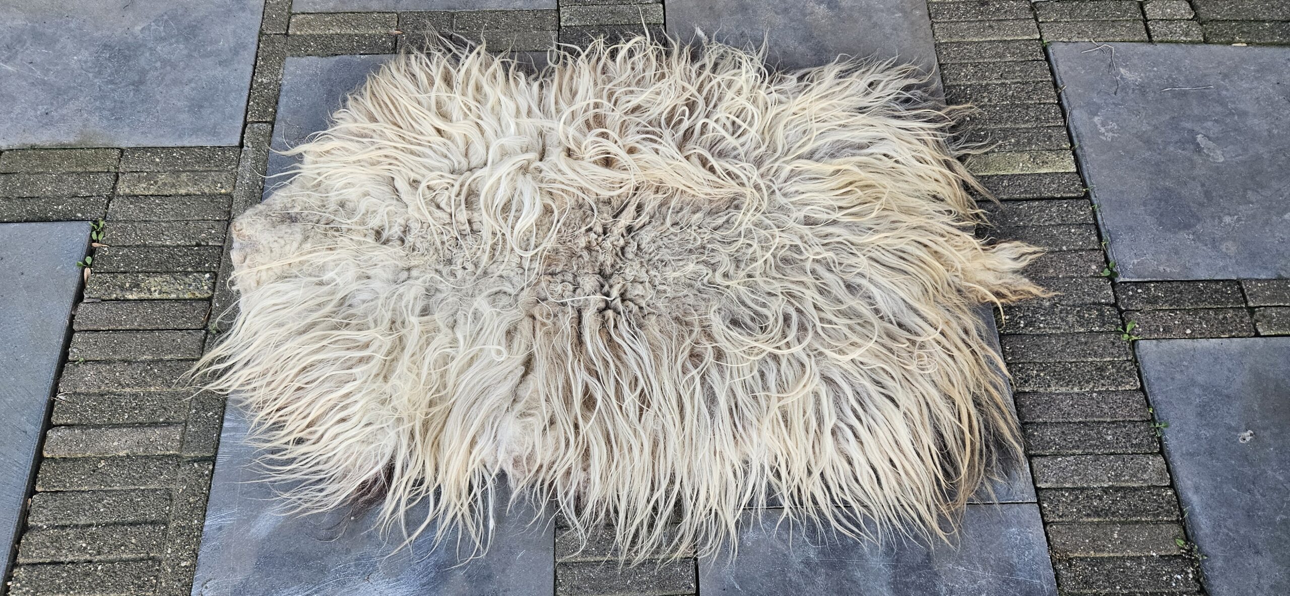 Vacht wit 'Myrthe' - Afbeelding 2