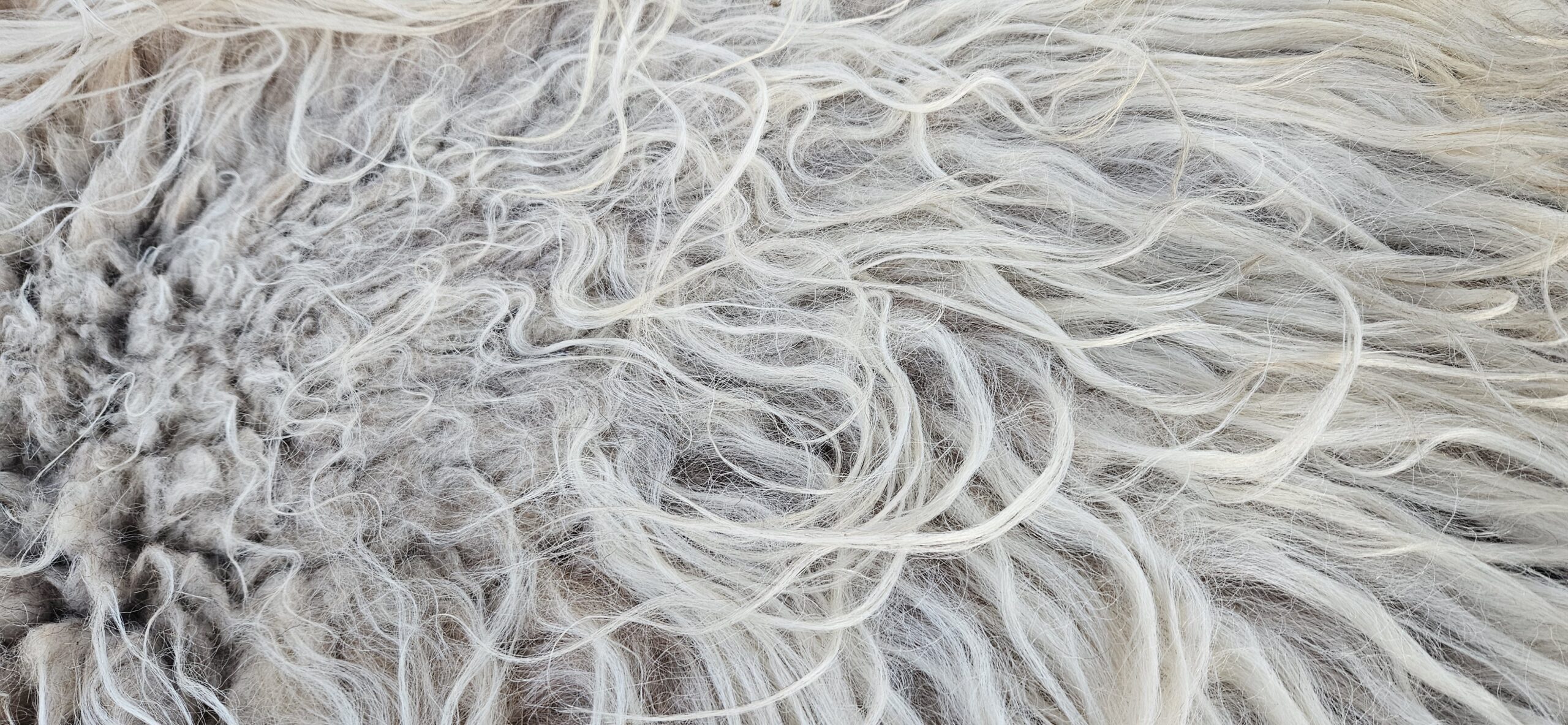 Vacht wit 'Myrthe' - Afbeelding 3