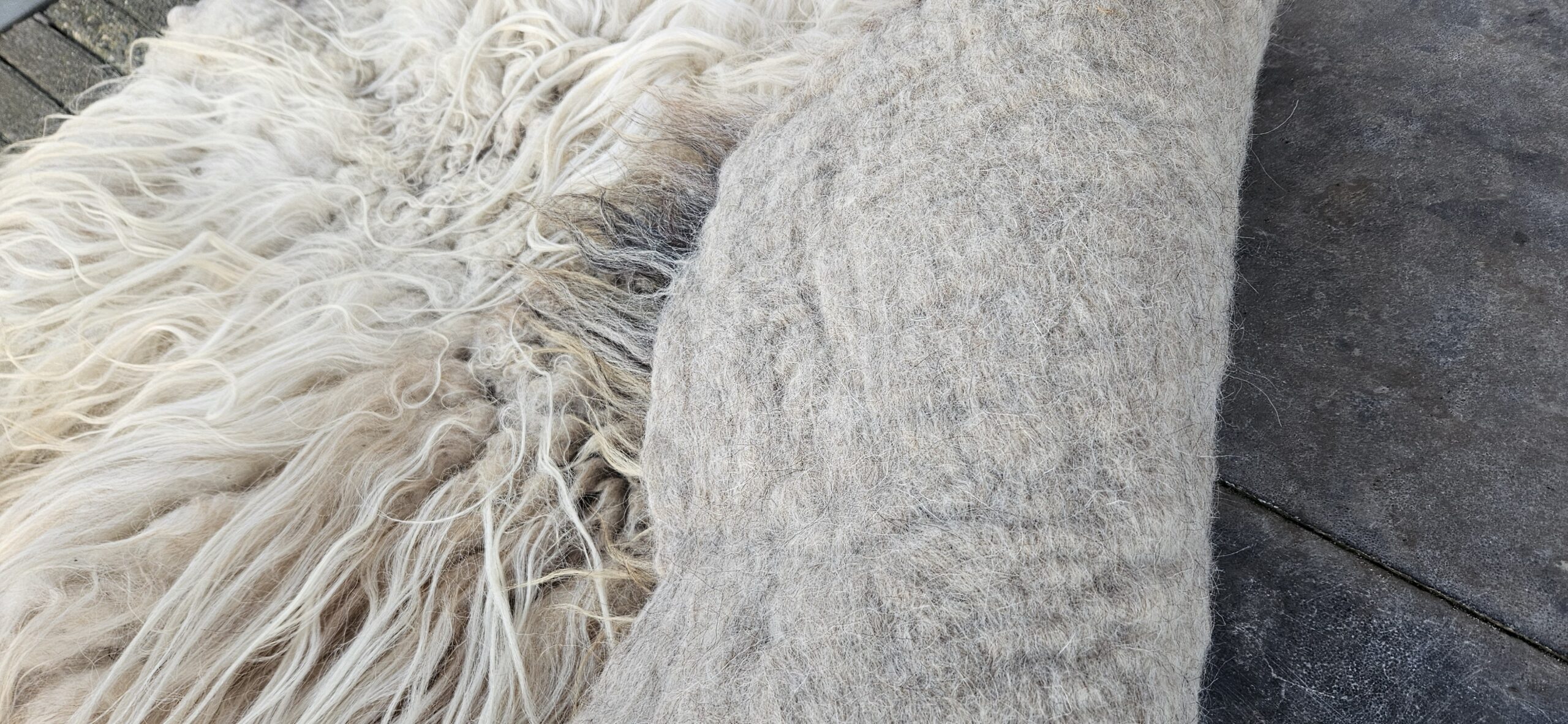 Vacht wit 'Myrthe' - Afbeelding 4