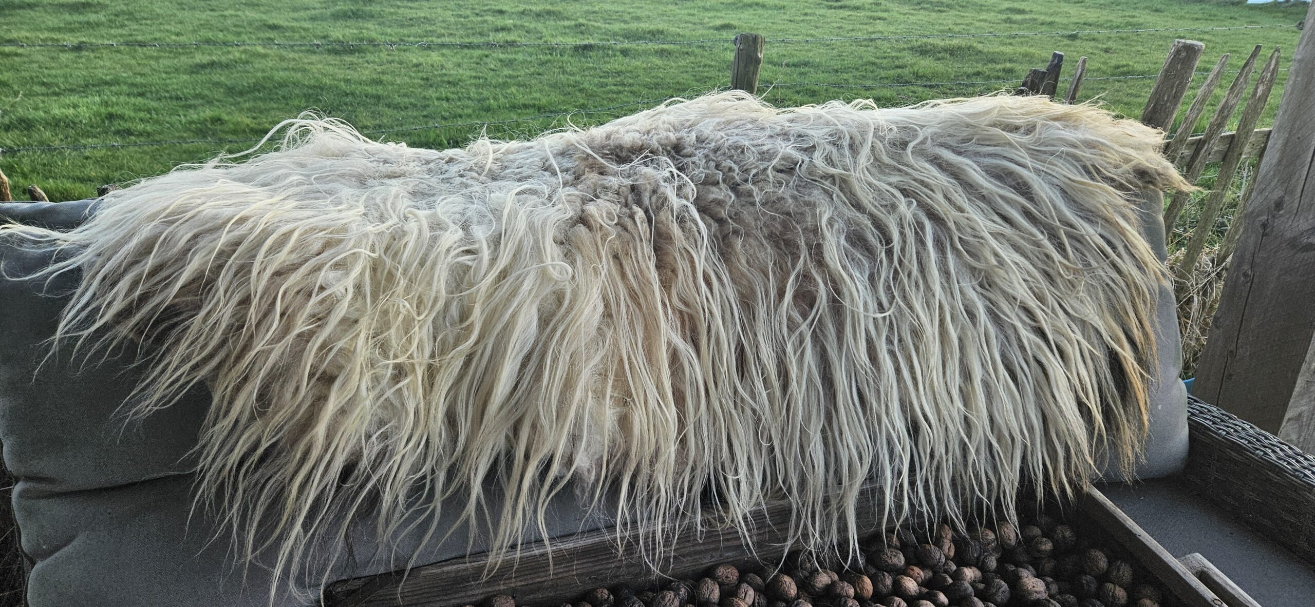 Vacht wit 'Myrthe' - Afbeelding 5