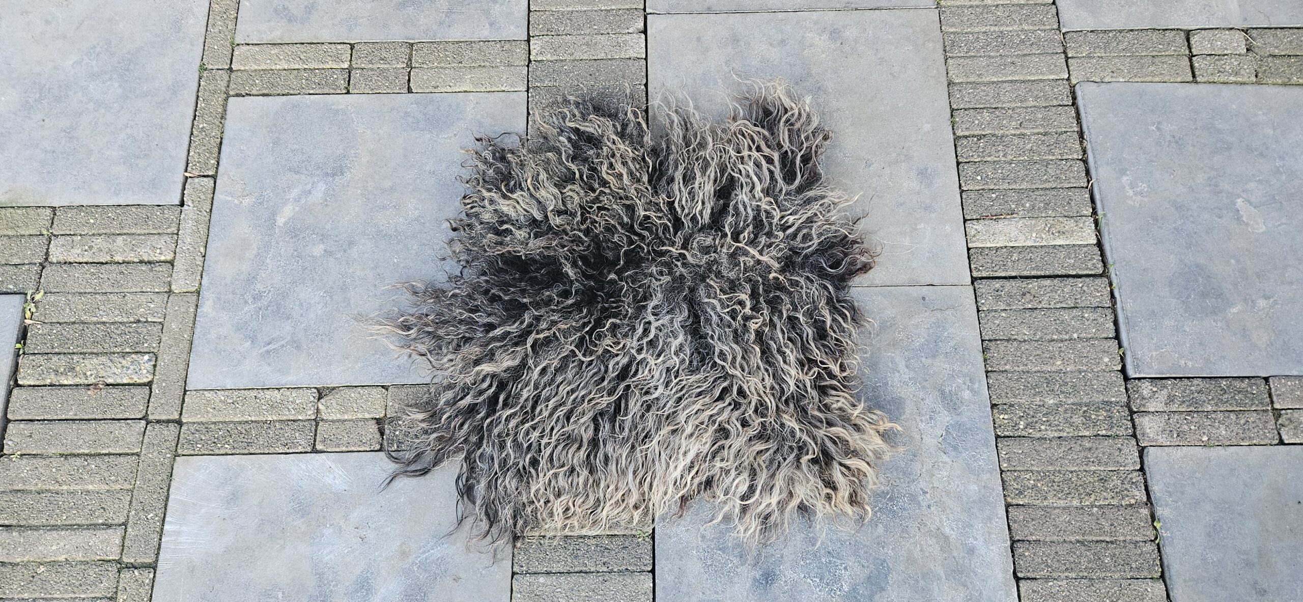 Vacht grijs/bruin 'Viola' - Afbeelding 3