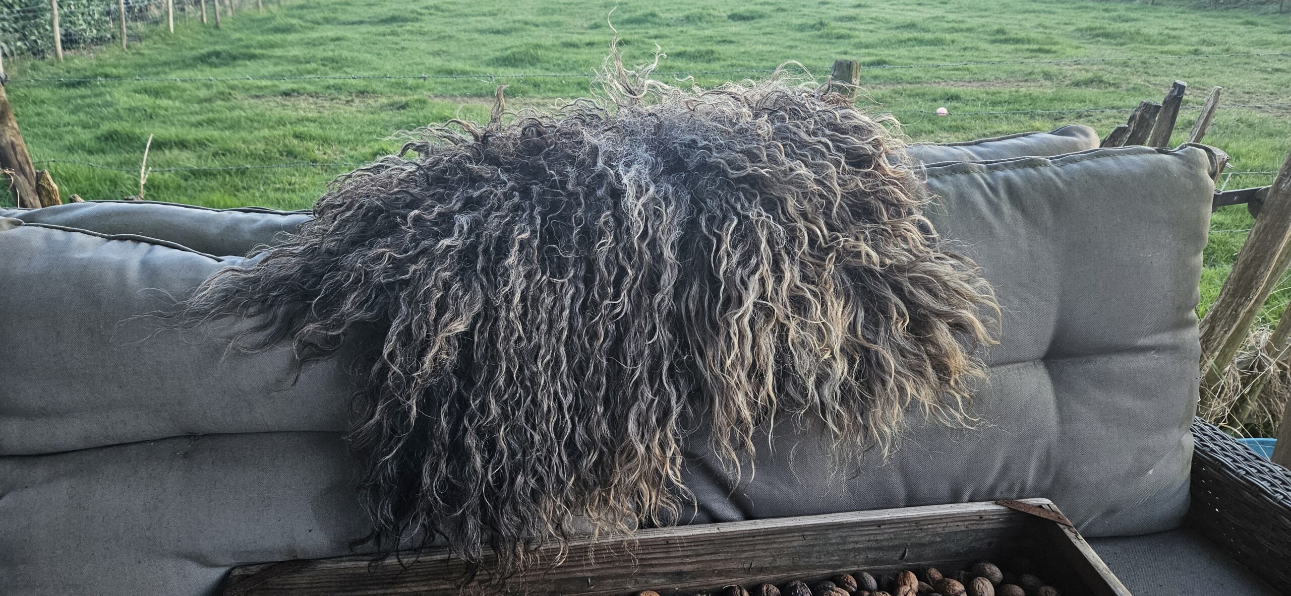 Vacht grijs/bruin 'Viola' - Afbeelding 7