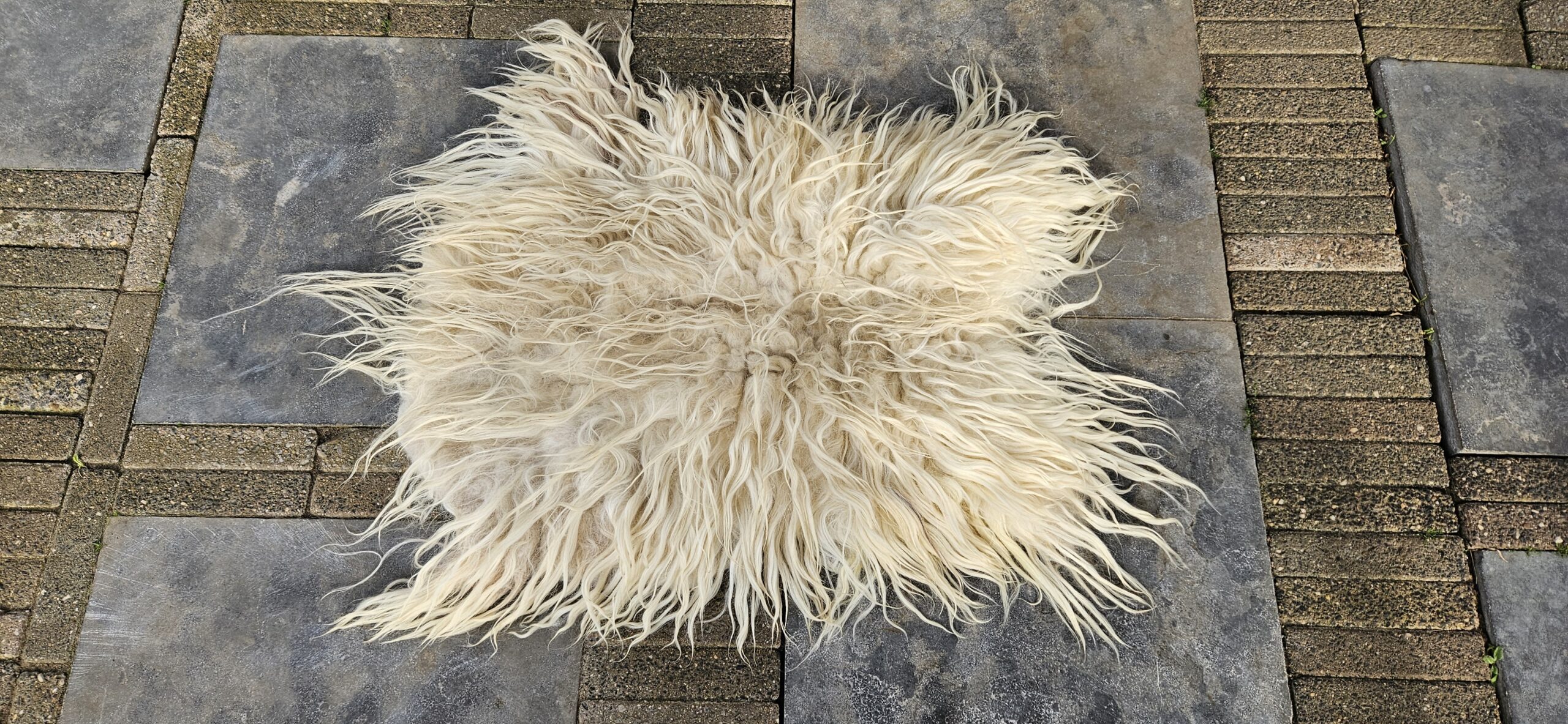 Vacht wit 'Brenda' - Afbeelding 2