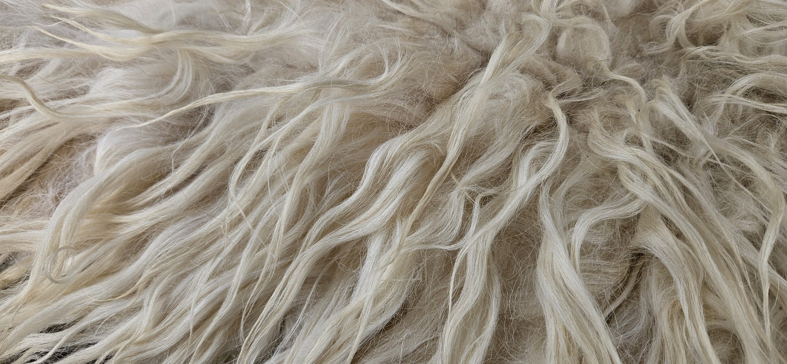 Vacht wit 'Brenda' - Afbeelding 3