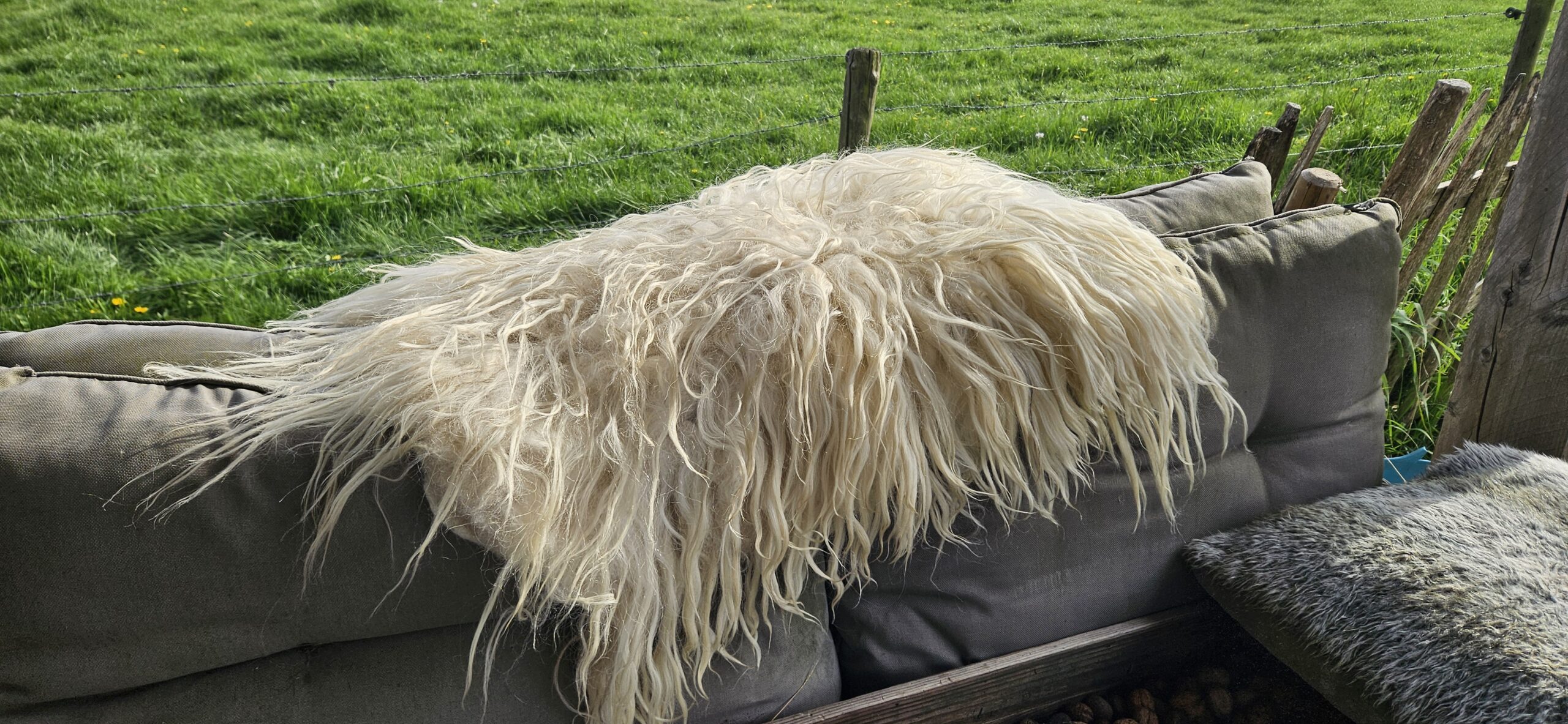 Vacht wit 'Brenda' - Afbeelding 5