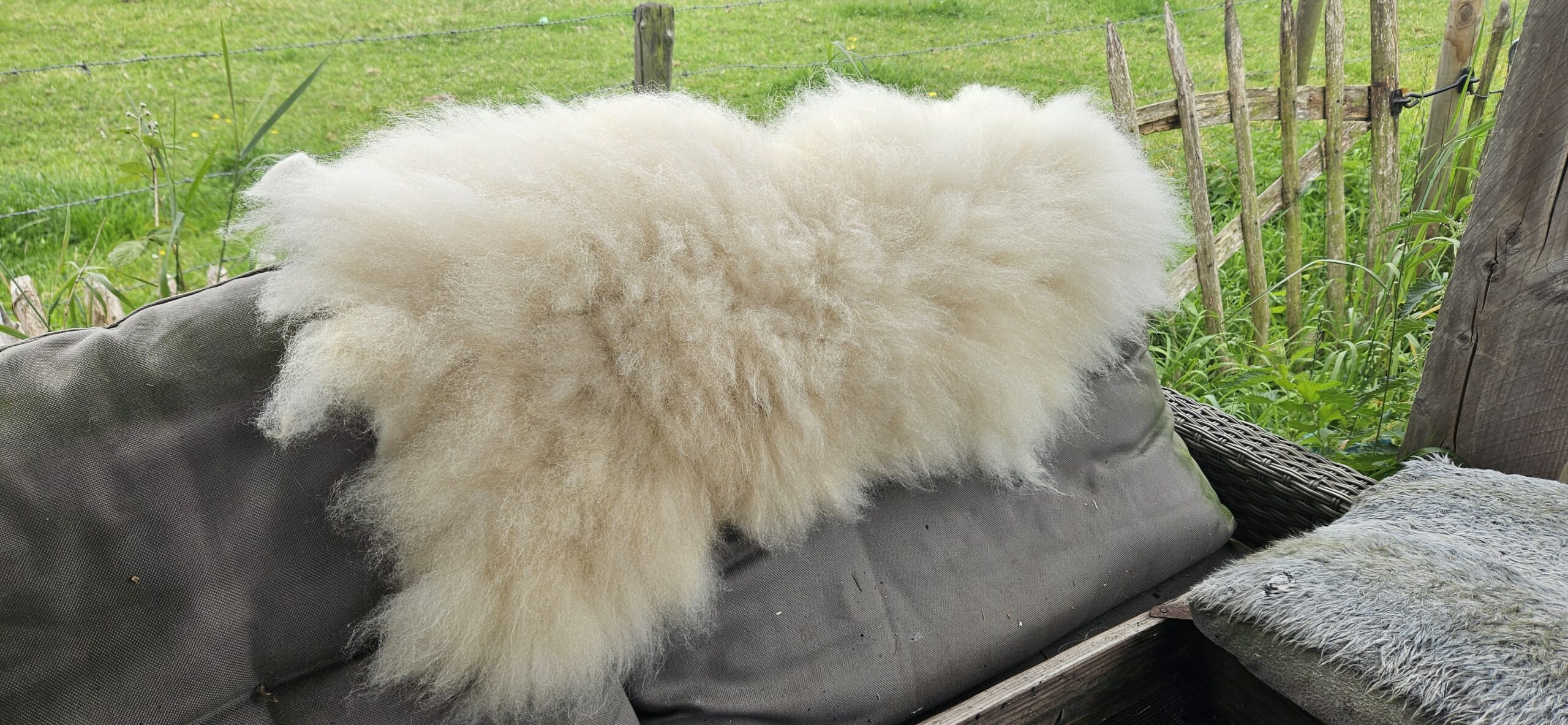 Vacht wit 'Nathalie' - Afbeelding 5