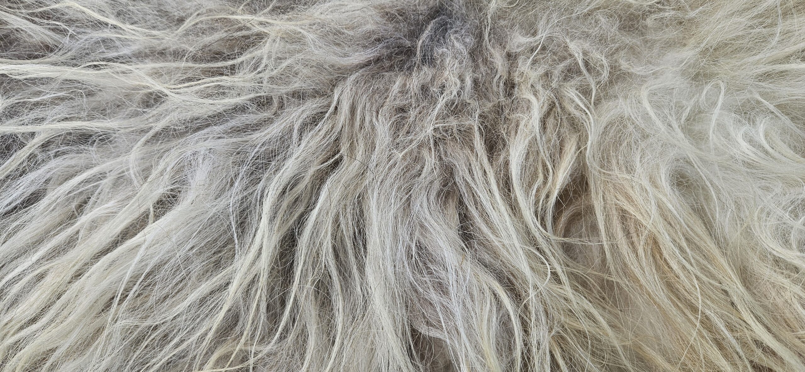 Lichte vacht 'Sofia' - Afbeelding 3