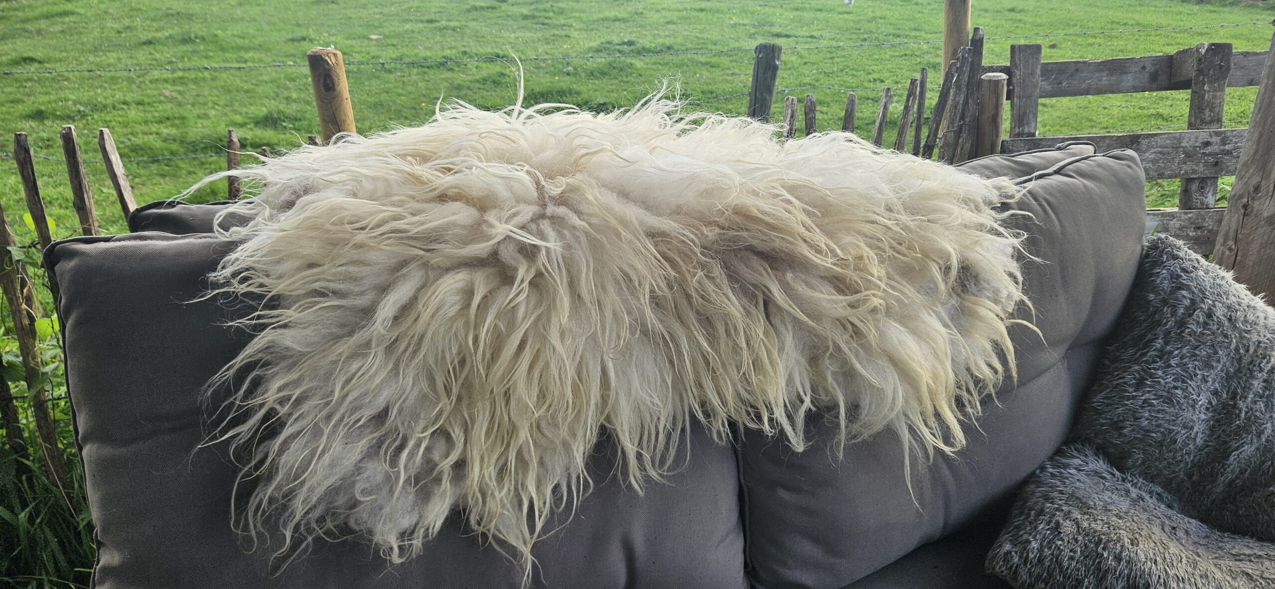 Vacht wit 'Jet' - Afbeelding 4