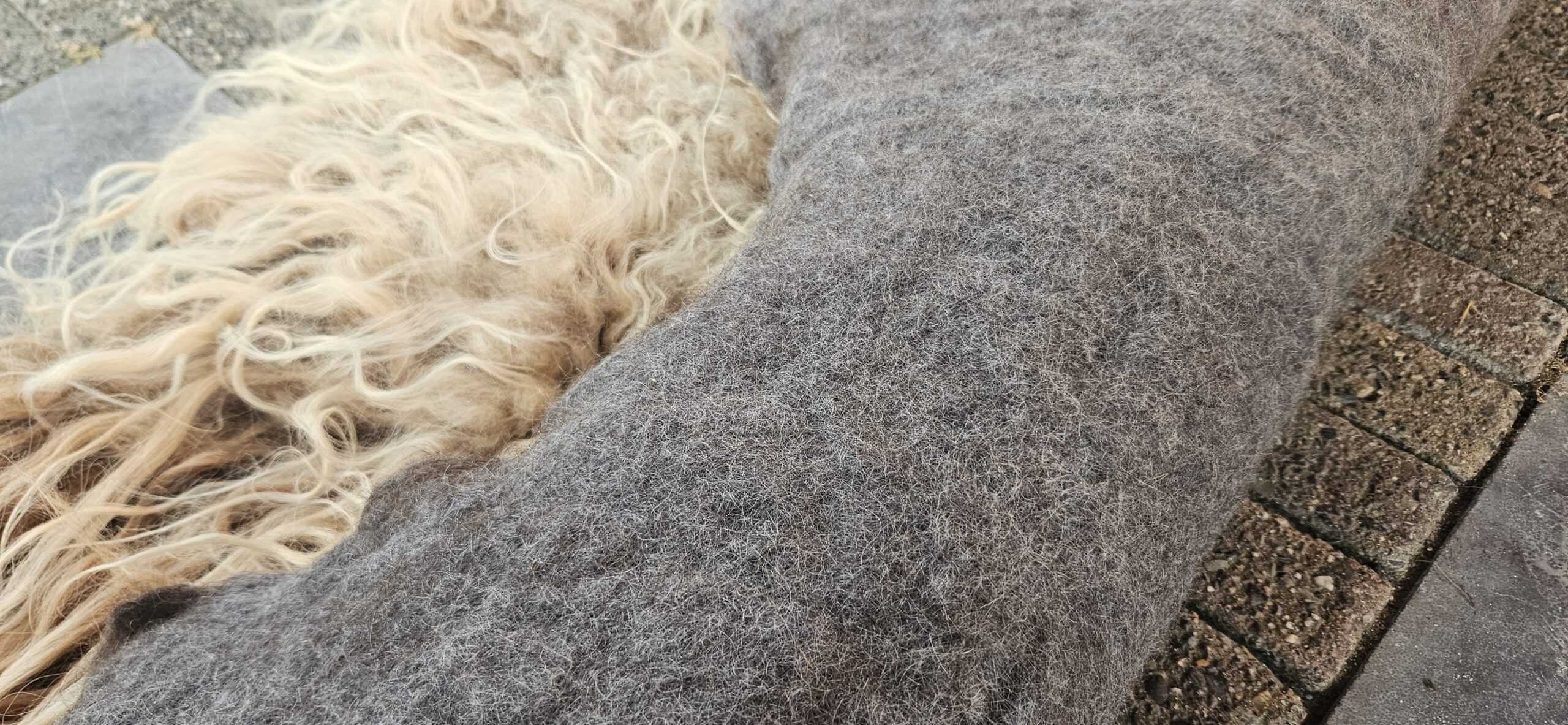 Vacht beigebruin 'Coco' - Afbeelding 4