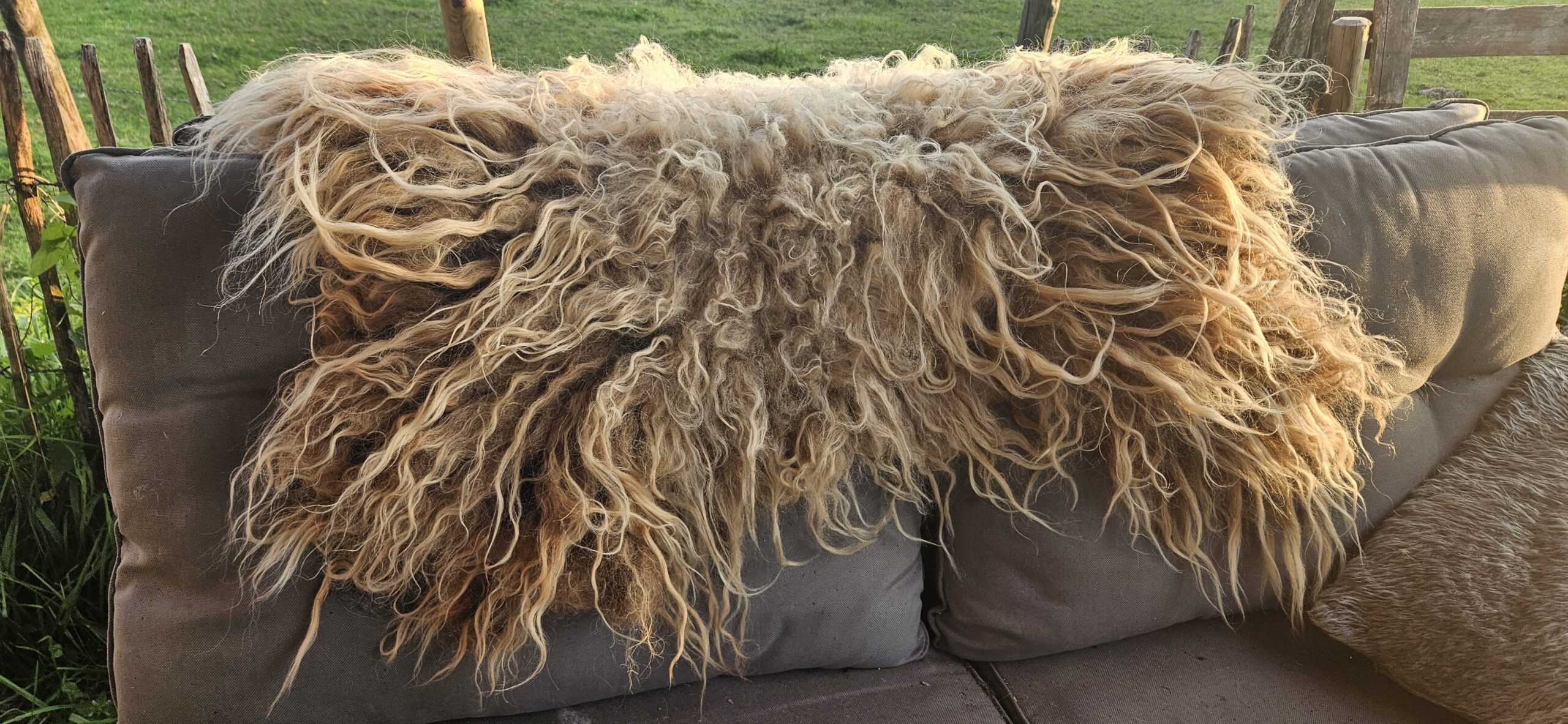Vacht beigebruin 'Coco' - Afbeelding 5
