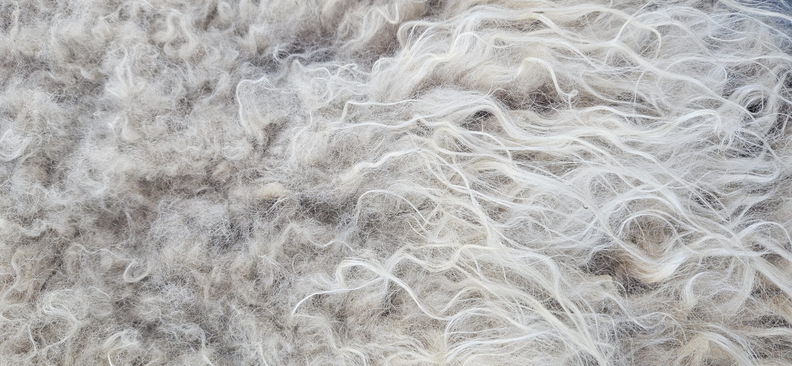 Vacht camelkleur 'Misty' - Afbeelding 3