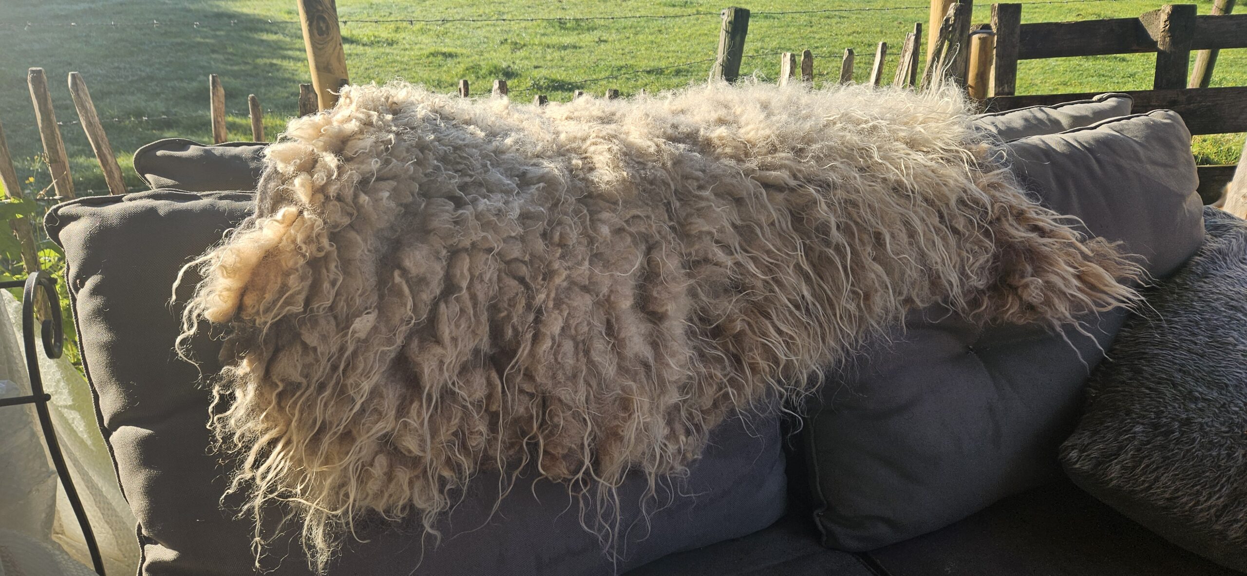 Vacht camelkleur 'Misty' - Afbeelding 5