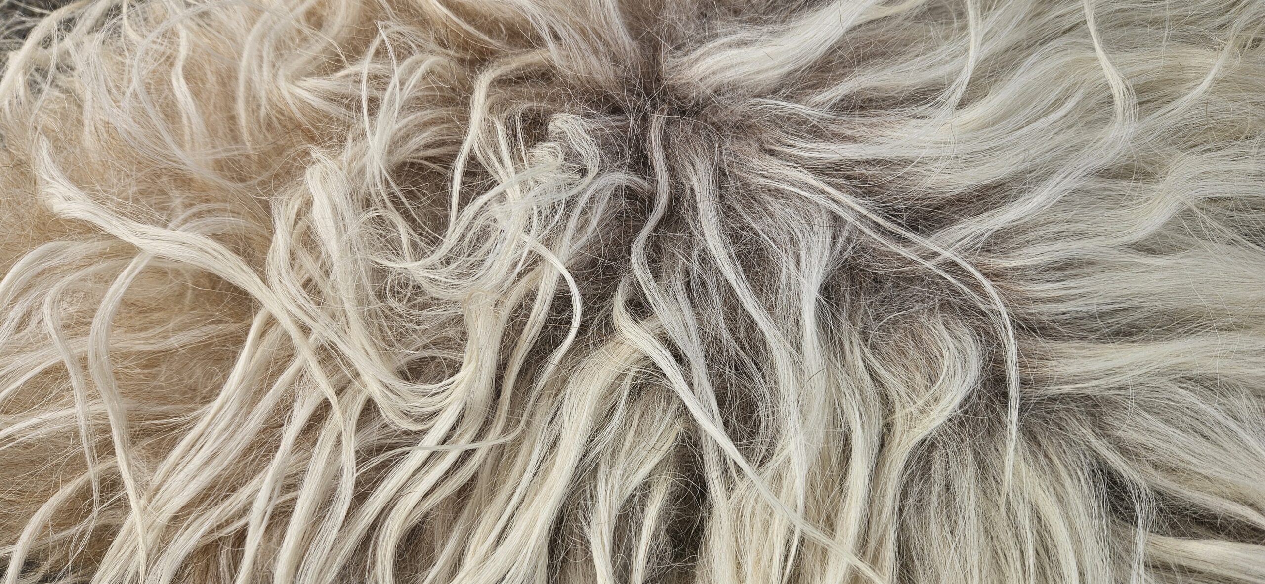 Licht vachtje 'Clara' - Afbeelding 4