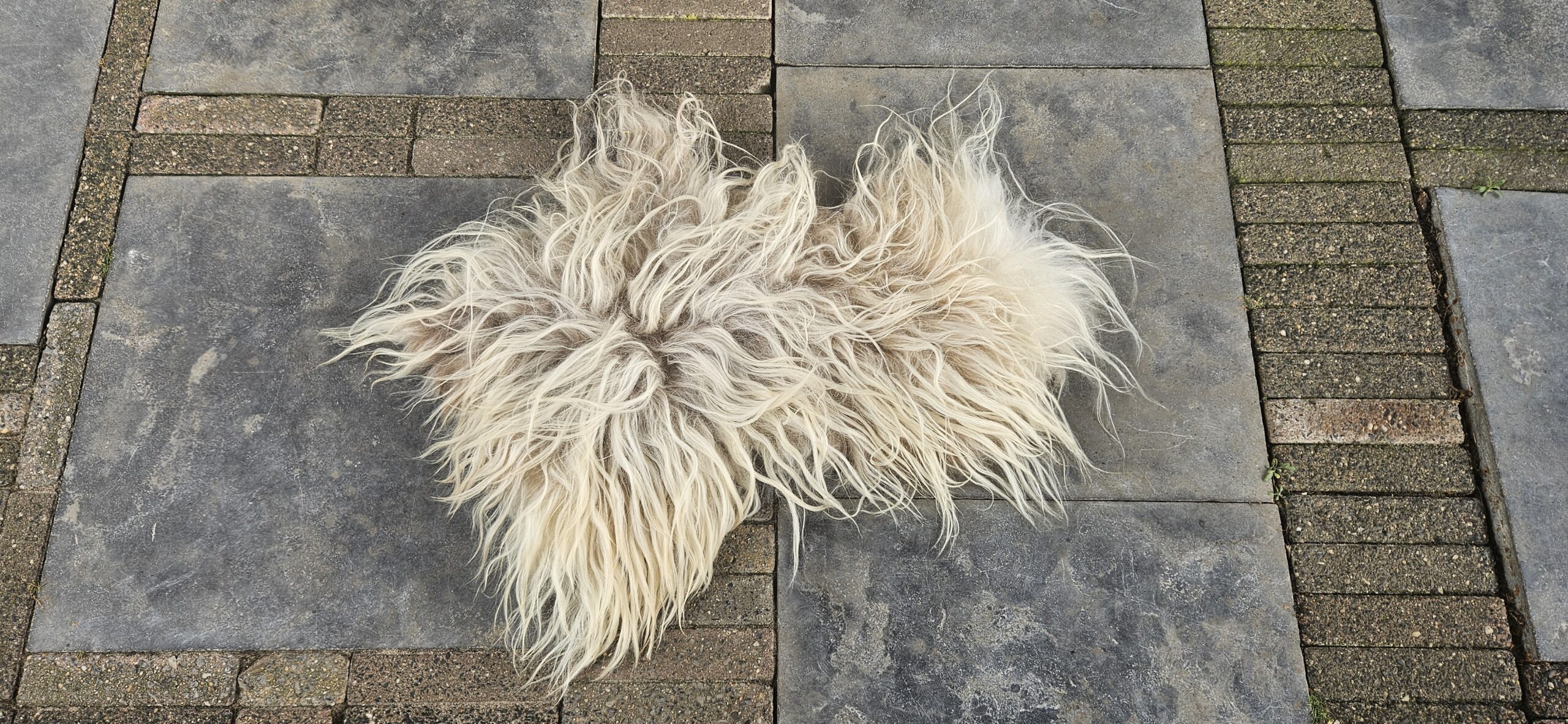 Lichte vacht 'Marije' - Afbeelding 3