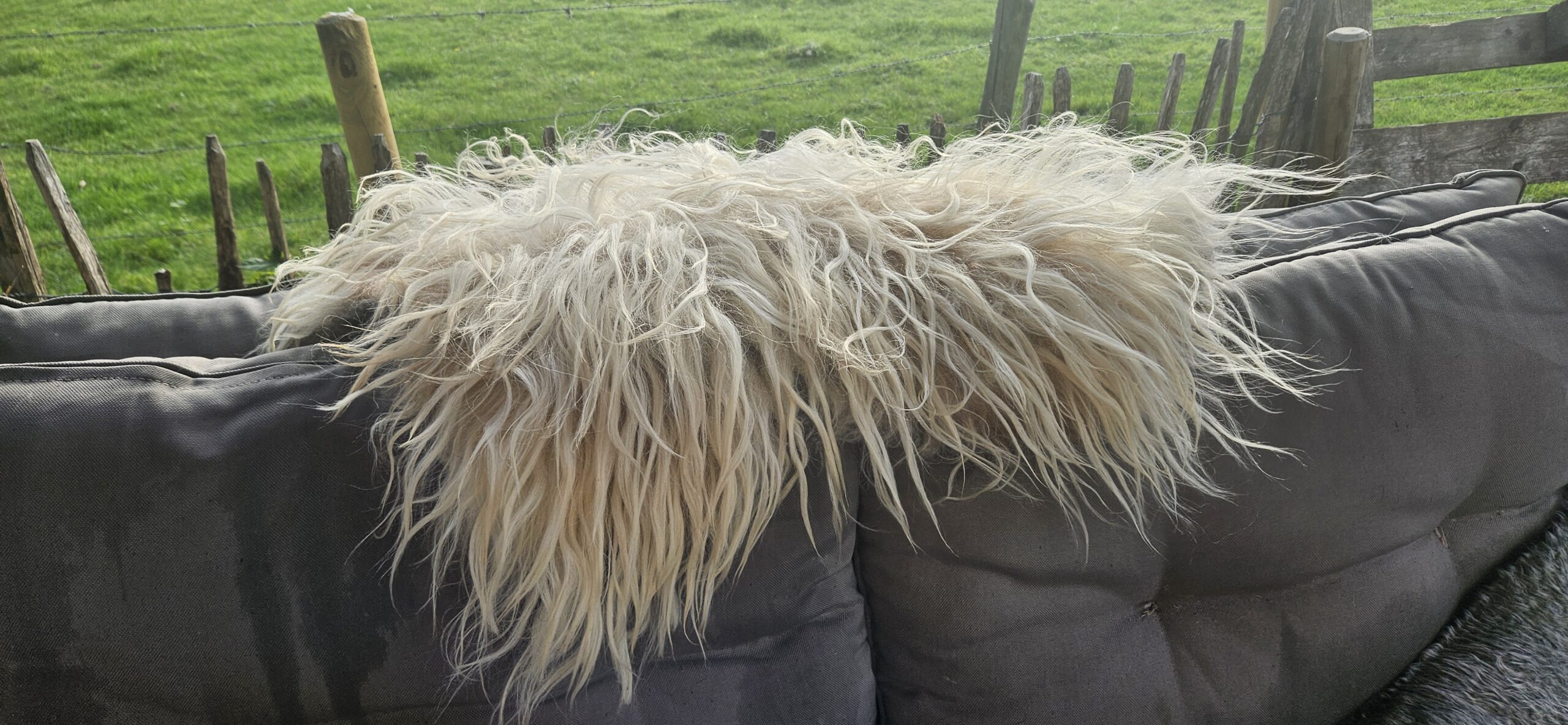 Lichte vacht 'Marije' - Afbeelding 6